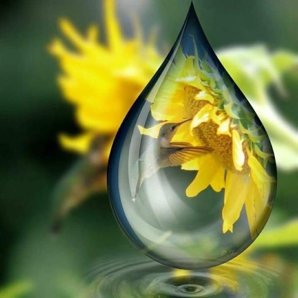 Meet your Posher, Stacie - Picture 1 of 1